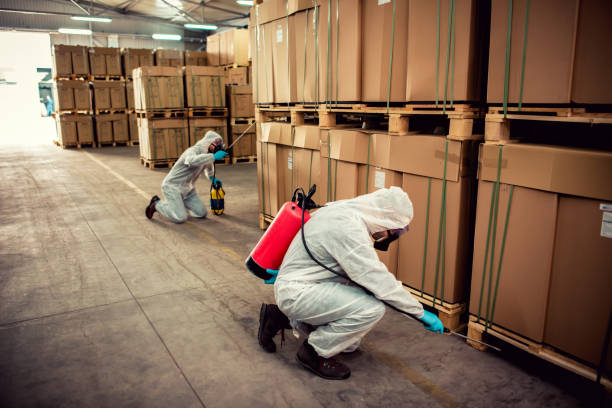 Best Affordable Pest Control Services  in Cairo, GA