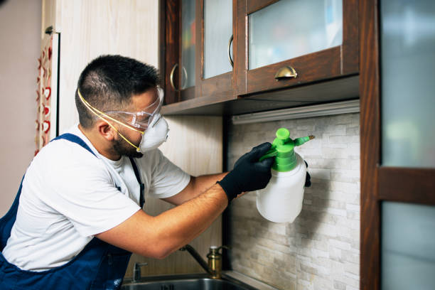 Best Cockroach Control Services  in Cairo, GA