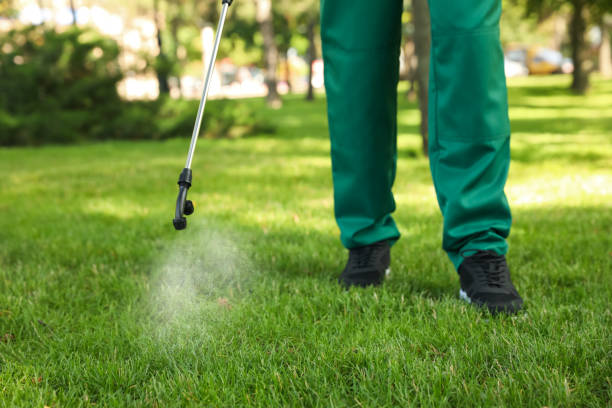 Best Mosquito Control Services  in Cairo, GA