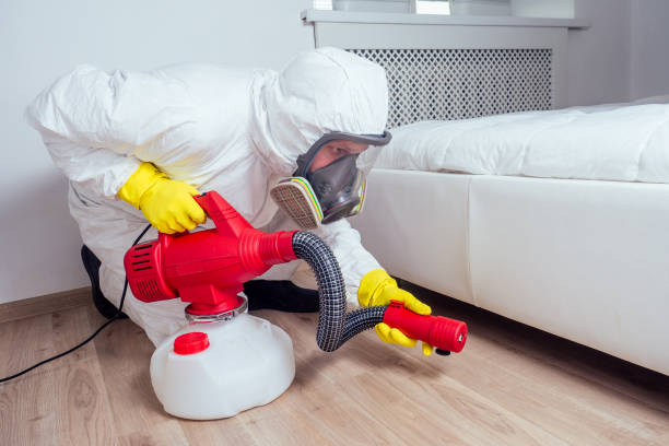Best Local Pest Control Services  in Cairo, GA