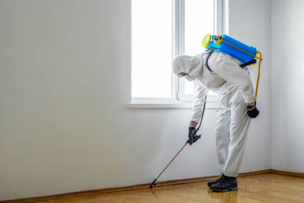 Best Flea Control Services  in Cairo, GA
