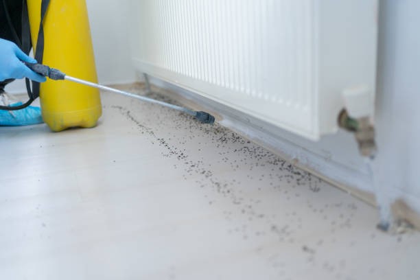 Best Pest Removal Services  in Cairo, GA